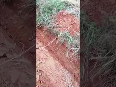 0.6 トン 0.8 トン ミニ クローラー 掘削機 小型 マイクロ 掘削機